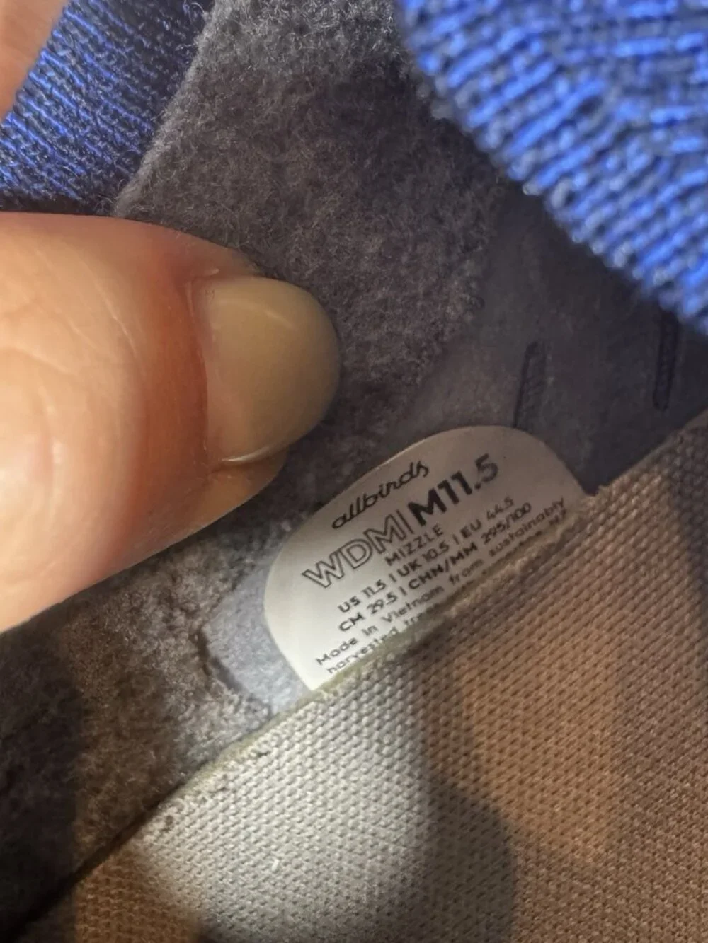allbirds wool dasher